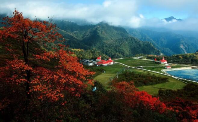 大邑雾山｜秋色与山为家 红叶与雾为衣！